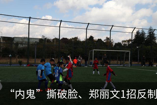 “内鬼”撕破脸、郑丽文1招反制！“蓝皮绿骨”终于意识到了危机