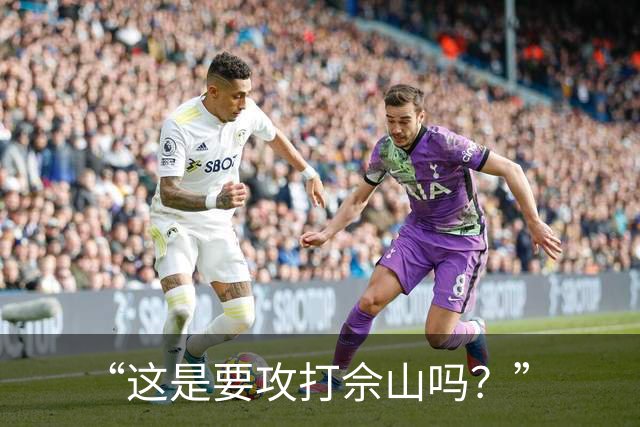 “这是要攻打佘山吗？”