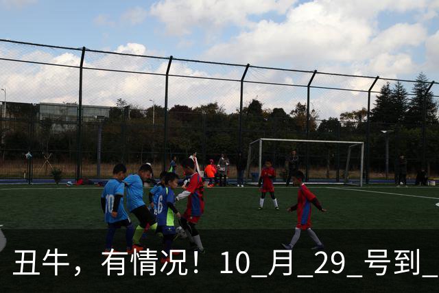 丑牛，有情况！10 月 29 号到 10 月 31号，五桩幸事瞒不住！