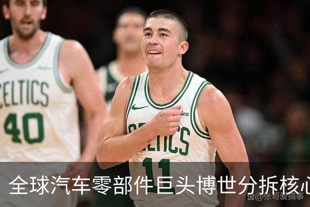 全球汽车零部件巨头博世分拆核心业务 回应称中国市场不受影响