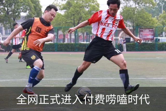全网正式进入付费唠嗑时代