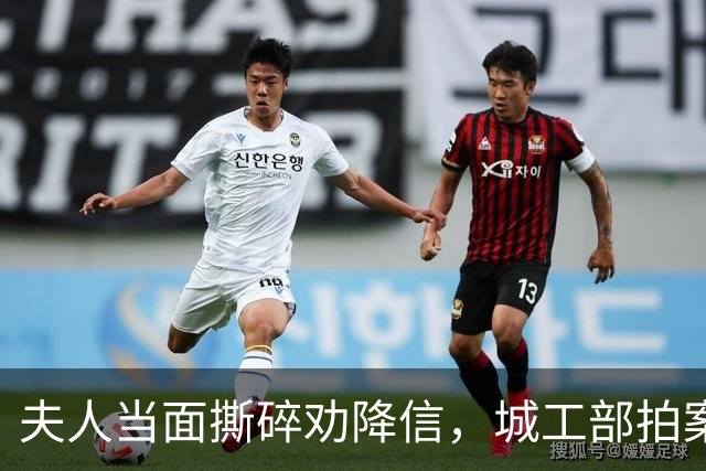 夫人当面撕碎劝降信，城工部拍案叫绝：这一撕，救了十万人