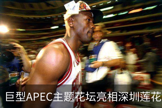 巨型APEC主题花坛亮相深圳莲花山公园