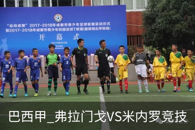 巴西甲 弗拉门戈VS米内罗竞技