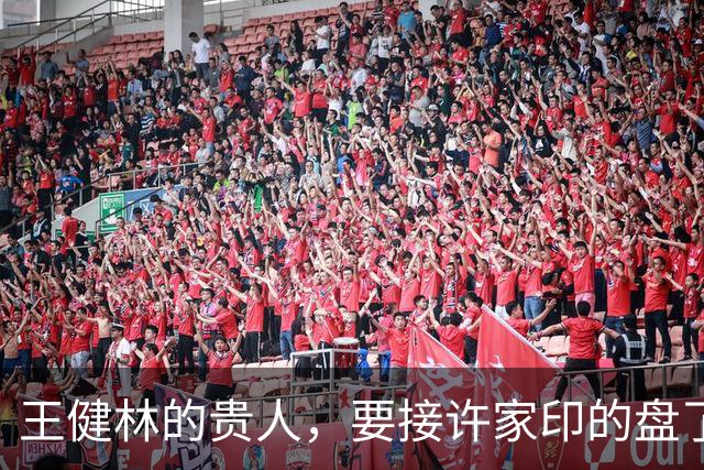 王健林的贵人，要接许家印的盘了？