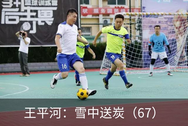 王平河：雪中送炭（6/7）