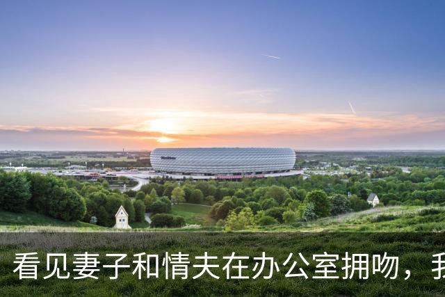 看见妻子和情夫在办公室拥吻，我没吵拍照片发公司群附一句祝幸福