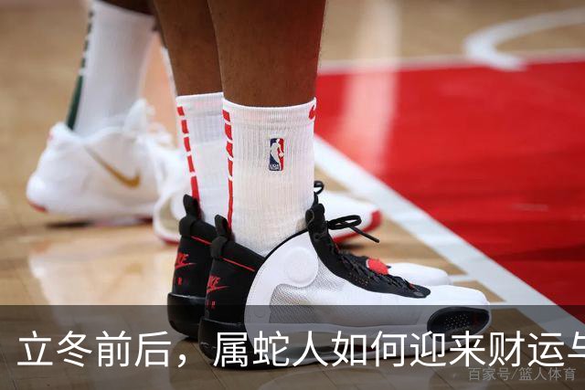 立冬前后，属蛇人如何迎来财运与人脉的双重惊喜？