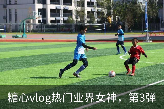 糖心vlog热门业界女神，第3弹