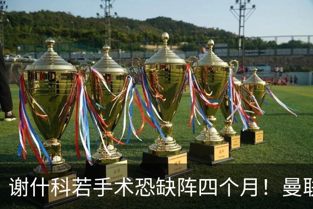 谢什科若手术恐缺阵四个月！曼联似受诅咒，球员加盟后易变玻璃人